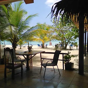 https://whistling-bird.hotelsnegriljamaica.com
